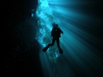 www.diversunderground.com